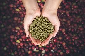 Ethiopia’s Growing Role in Global Coffee Trade