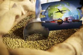 Coffee Quality Grading & Packaging